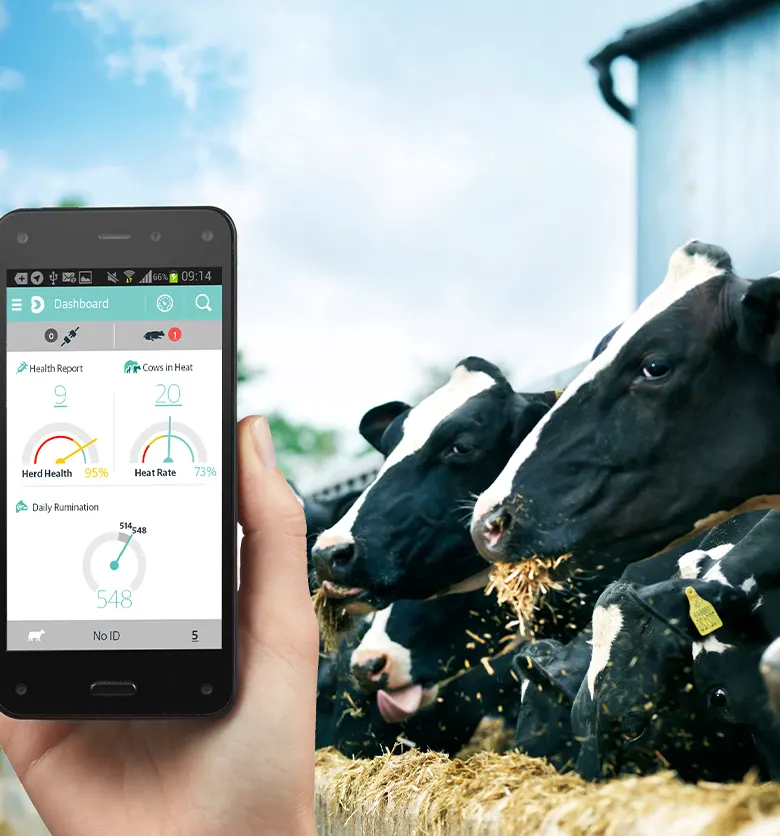 bremder-cow-control-cow-monitoring
