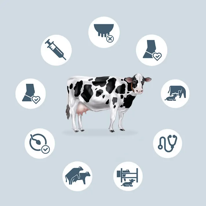 bremder-milking-equipment-parlow-control-002